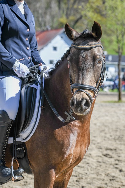 直面问题的 直面问题的