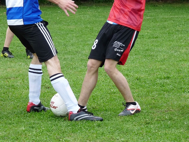 詹姆斯与乔 詹姆斯与乔