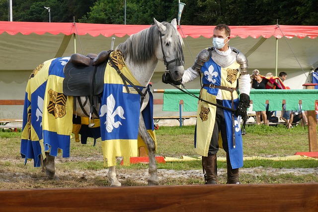 两队的胜负 两队的胜负