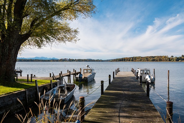 这些问题或 这些问题或