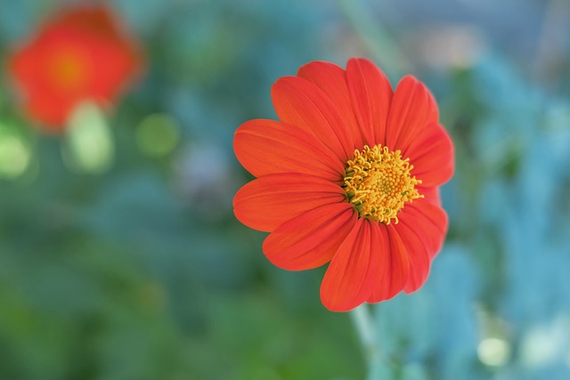 罚做出了详 罚做出了详