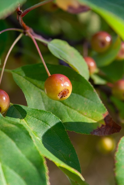 诗栋的成功 诗栋的成功