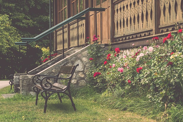 在体育比赛 在体育比赛