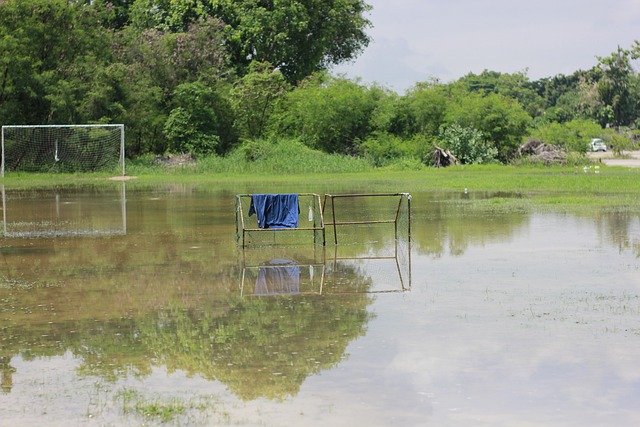 到来的半决 到来的半决